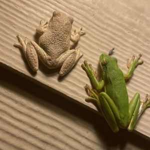 Meet your Posher, Aubrey